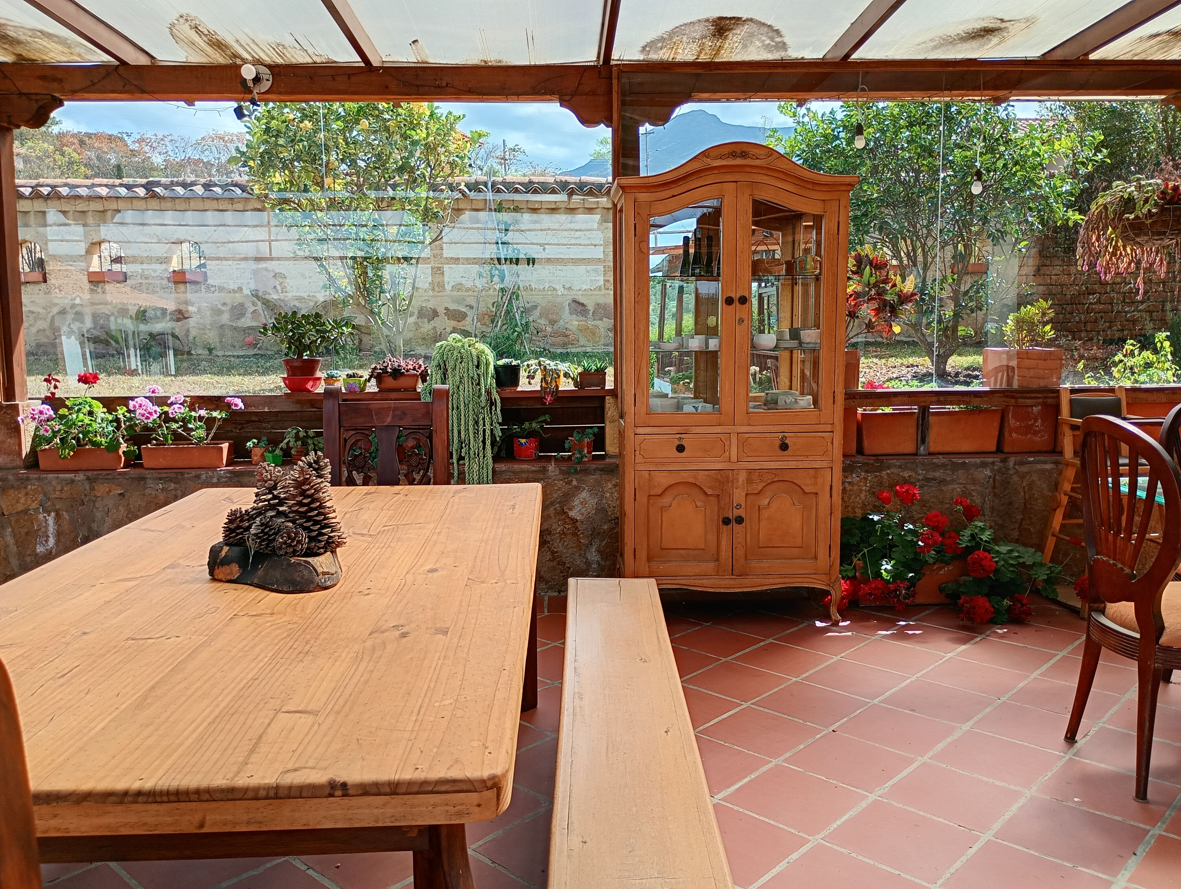 Jardín con montañas al fondo